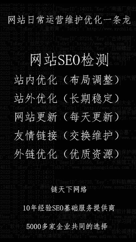 �WվSEO�й�һ������X��